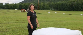 Tackar midsommarens rotblöta