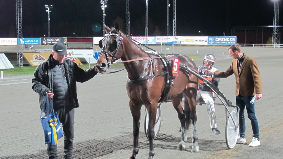3-årige Baltimore Broline var lugnet själv och höll närapå att somna under segerintervjun efter segern i V5-2 på Bodentravet. Amatören Stefan Lundmark håller i sin häst medan sportchefen David Zimmer intervjuar kusken Ove A Lindqvist.