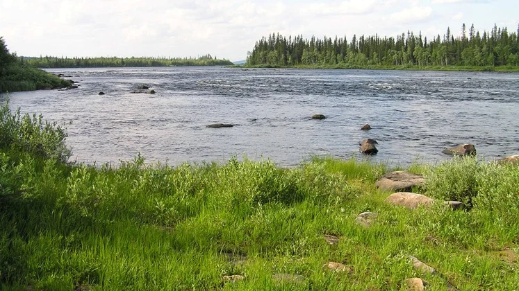 Åtgärderna som genomförs inom projektet ska bland annat bidra till att mildra effekterna av klimatförändringarna.