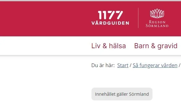 Region Sörmland behöver ett nytt borgerligt och liberalt styre i höst som vågar ta tag i regionens problem på riktigt och göra 1177 både tillgänglig och kostnadseffektiv, skriver Ewa Callhammar (L).