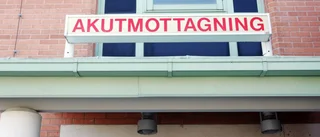 Lättakut i Hemse är inget effektivt alternativ