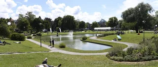 Lycksalighetens ö?