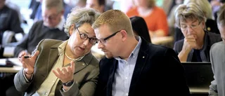 Sågning i Regionfullmäktige