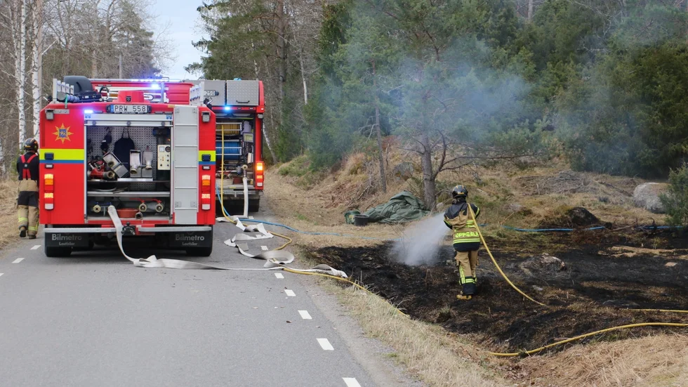 Majbrasa spred sig i terrängen utanför Bälinge.