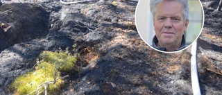 Eldhärjade marken ett eldorado för nytt liv: "En hel del djur och växter som gynnas"