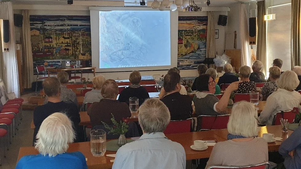 Karin Thorell visade ett fantastiskt bildspel om fåglar och insekter.
