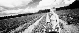 Vi ska utveckla vår ekokommun
