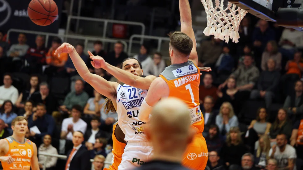 BC Luleå-Norrköping Dolphins