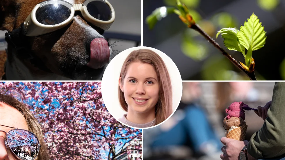 Emma Härenstam ger glädjande besked till Sörmlands soldyrkare – i början av veckan blir det fortsatt varmt. På onsdag ser det dock ut att vända, för att bli ostadigare torsdag och fredag. Till helgen väntas högre temperaturer igen.