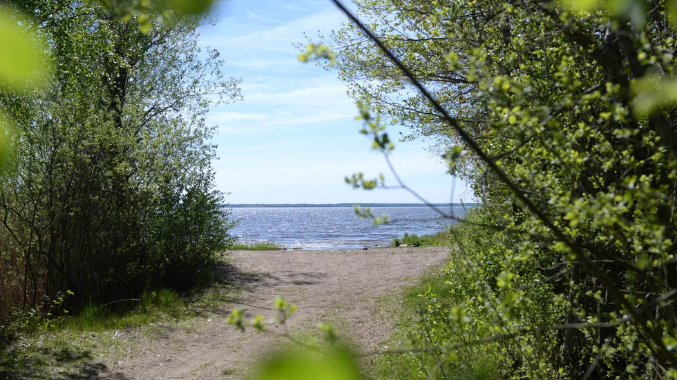 Vid Tingsbrötsbadet i Glan, mitt bland barnfamiljer och andra badgäster, bestämde sig en man för att bada naken.