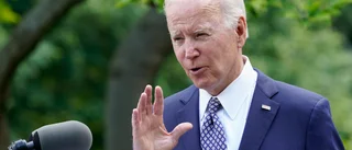 Biden lovar USA:s skydd under Nato-ansökan