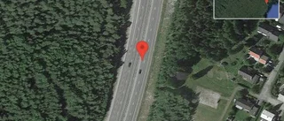 Rådjur på vägen på E4