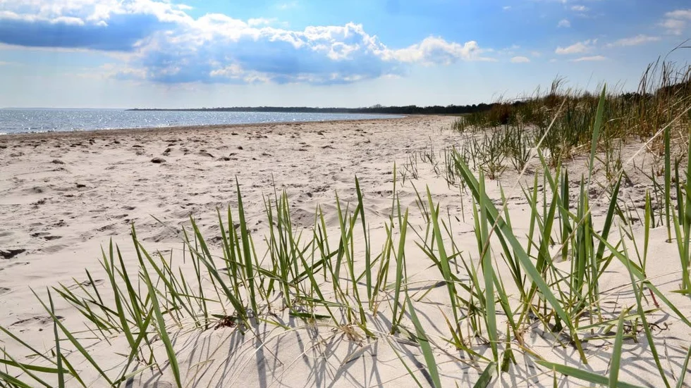 Sudersand på Fårö.
