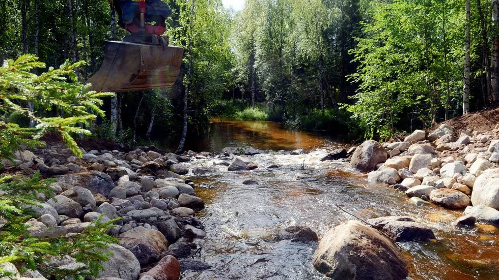 Målet är att vattnen ska få en naturlig ekologi, säger projektledaren Sofia Perä.
