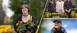 Årets sommargator i händerna på sjätteklassare: "Hoppas morsan tycker det ser bra ut"