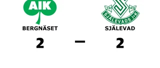 Delad pott för Bergnäset och Själevad