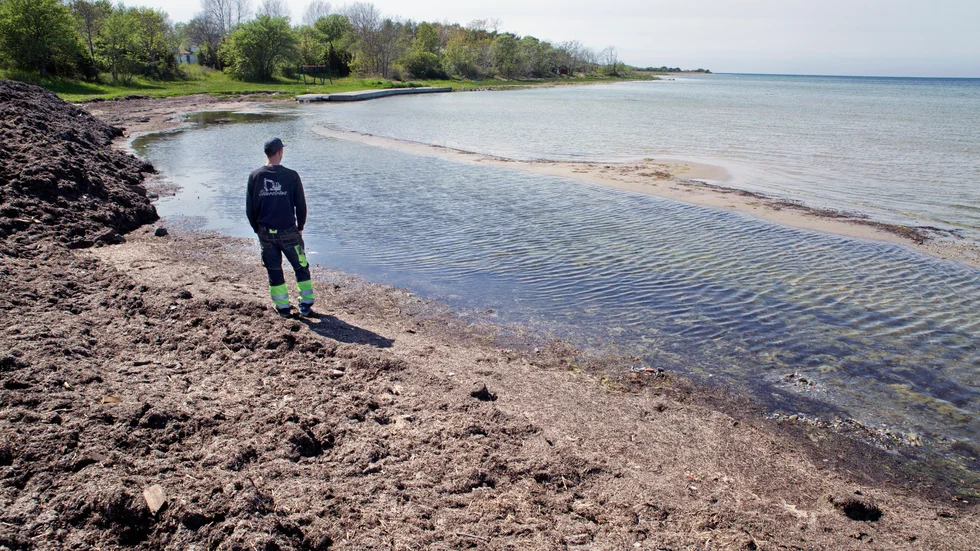 I sin tillståndsansökan till Länsstyrelsen på Gotland beskriver utvecklingsbolaget vattenbrynet som "en grund pöl med stillastående vatten, utanför denna en sandbank och sedan ankeldjupt vatten."