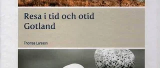 En stockholmare ser på Gotland