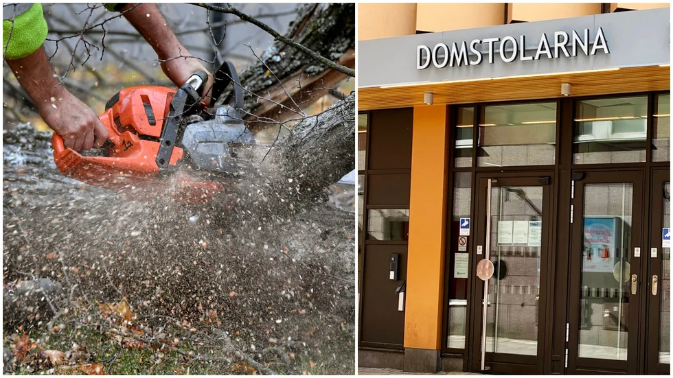 En kvinna som lät fälla en trädstam på granntomten döms för skadegörelse. 