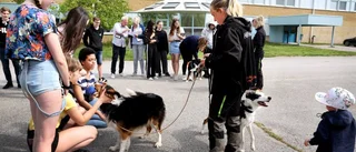 Elever fick besök av militärer och egenföretagare