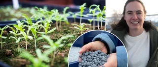 Spillvärmen från LKAB kan användas för framtidens matförsörjning 