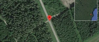 Problem i trafiken efter nedfallna träd på väg 778