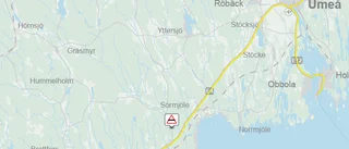 Personbilar och älg i krock