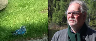 Blå fågel upptäckt i Gamleby – misstänkt djurplågeri