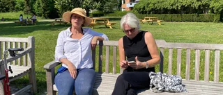 Besökare om Drömparken: "Vi älskar den"