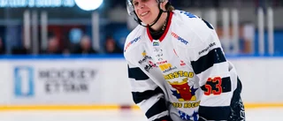 VH presenterar nyförvärv – poängsprutan ansluter till klubben