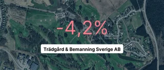 Årsredovisningen klar: Så gick det för Trädgård & Bemanning
