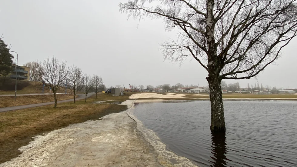 Mycket vatten på Ernebergsfältet i Gamleby.
