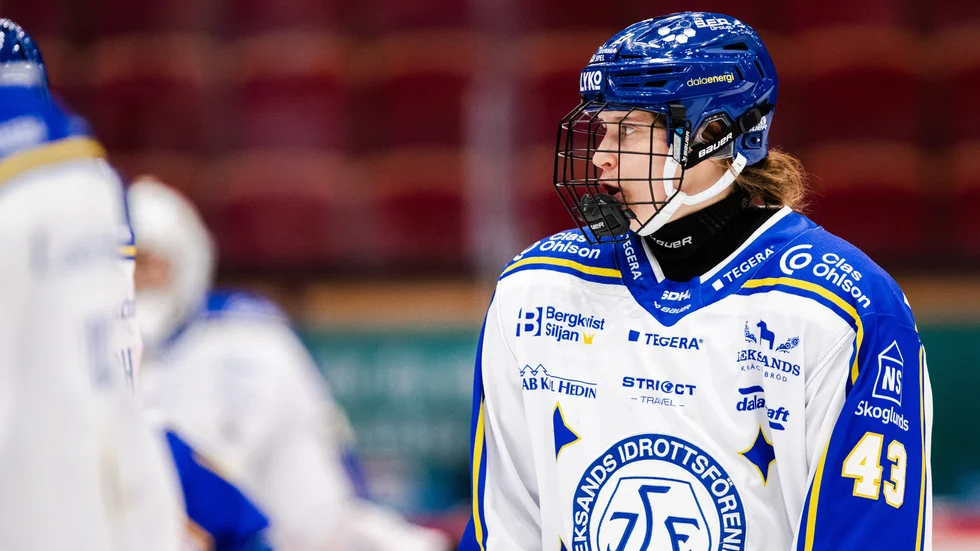 Aino Karppinen är Skellefteå AIK:s andra nyförvärv inför SDHL-säsongen.