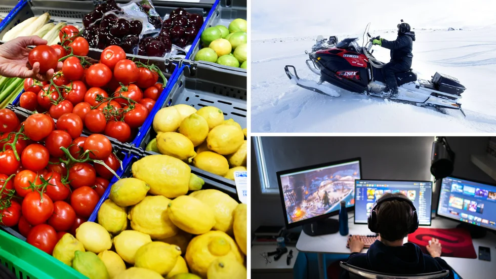 Altanbyggen, uthyrning av grävmaskiner, datorspel, dagligvaror och guidade skoterturer. Här är listan över veckans nystartade bolag.