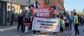 Har demonstrerat för Palestina – varje lördag i sju månader