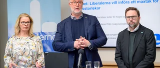 De borde se till att friskolor också kan granskas