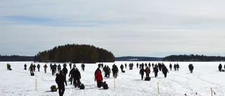 Stora Lappträsknappet blev en populär tillställning