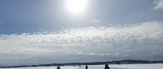 Läsarbild: Promenad på Luleås isväg