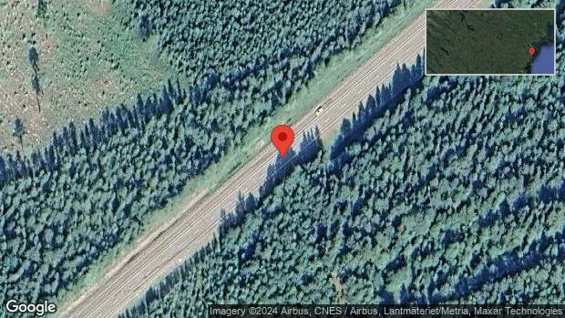 Älg innanför viltstängslet på E4