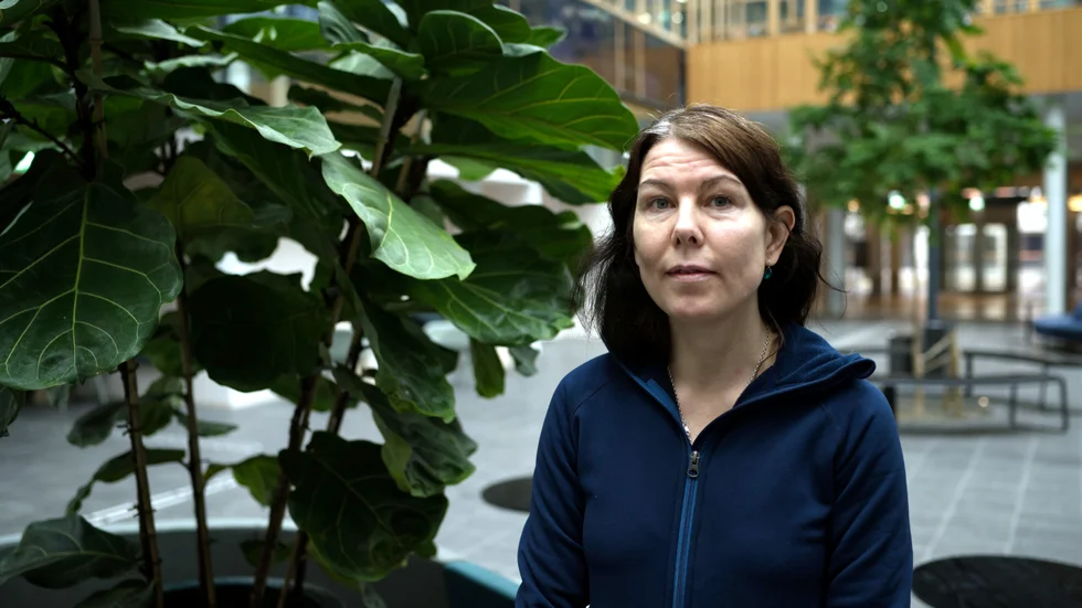 Karolin Lundström (V).