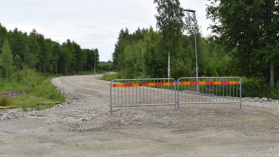 Vägen slingrar sig genom sly som numera växer på det gamla industriområdet. 