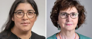 Därför ska man rösta vänster i EU-valet