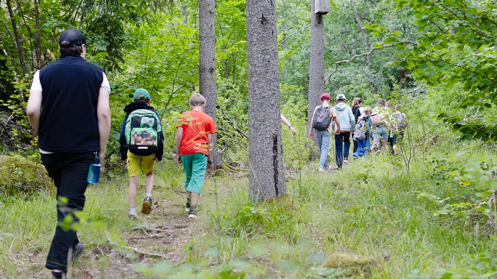 Andelen barn som vistas i skogen minskar. Det här vill nu flera organisationer göra något åt.