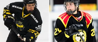Förre SDHL-spelaren blir tränare i Uppsala Hockey: "Ny utmaning"