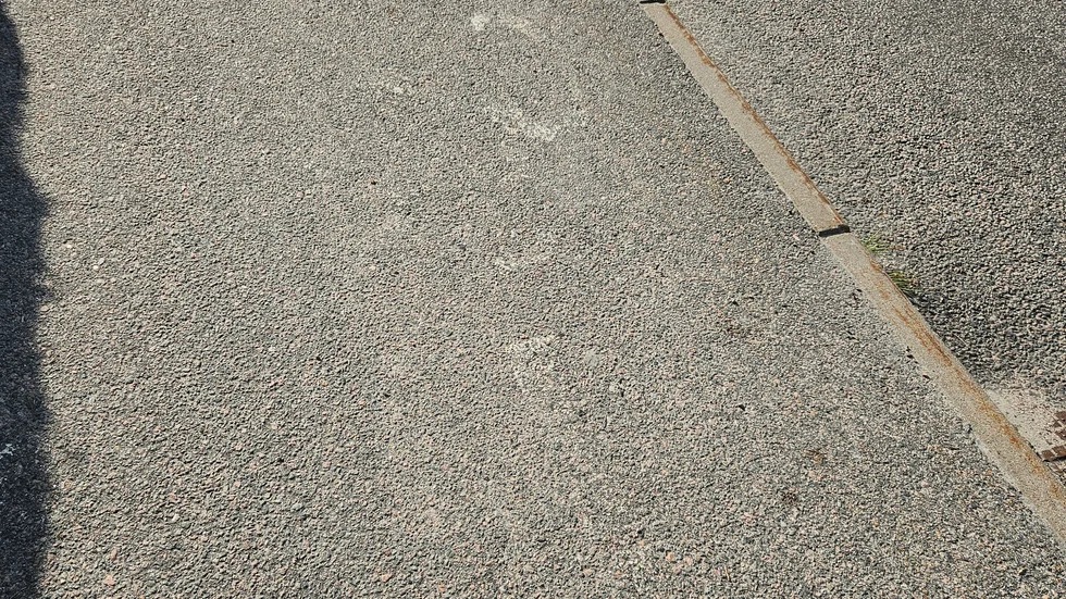 "Se själv på bilden, så ser det ut längs hela Fågelbovägen" skriver insändarskribenten.
