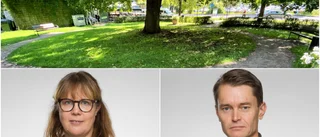 Politisk strid om sten i Uppsalaparken
