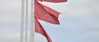 Student slog universitetschef med paraply – stängs av