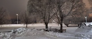 Dagens läsarbild: Badhusparken i vinterskrud