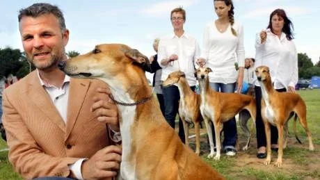 Epic Hedonistic, eller Hedda, som ägarna kallar henne, utsågs till "best in show" på Gotland dog show. Ägaren Johan Rosengren var mäkta stolt. Bakom syns Heddas syskon med Annalena Almgren (längst till vänster) Ina Koulermou från Grekland och Anne Asp från Finland.foto: tommy  söderlund