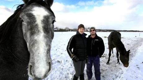 Hästar och kor. Medan Johan Sedersten satsat på dikor och uppfödning av köttdjur håller sambon Cecilia Sjödoff på med hästar. Så här års håller man djuren i hagar nära gården, men för det mesta betar de på alvarmark och strandängar.Foto: rolf Jönsson